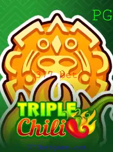 Descubra o Encantador Mundo de TripleChili com 377 Bet
